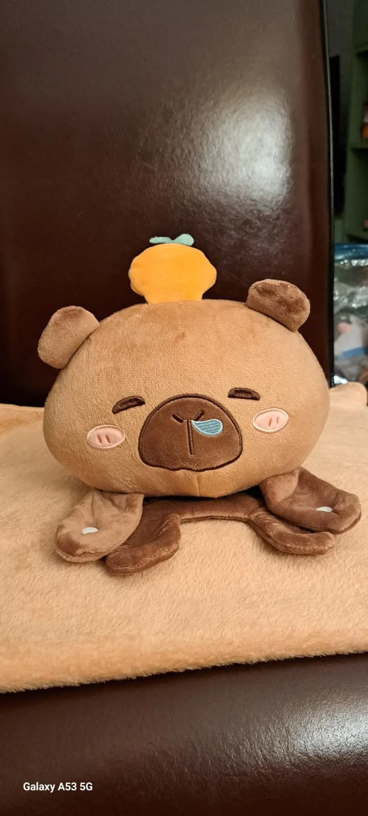 Capybara knuffel deken van AUdhdshop op een donkere achtergrond