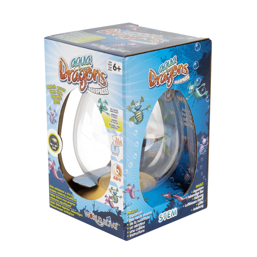 Aqua dragons Eggspress bij Audhdshop in doos